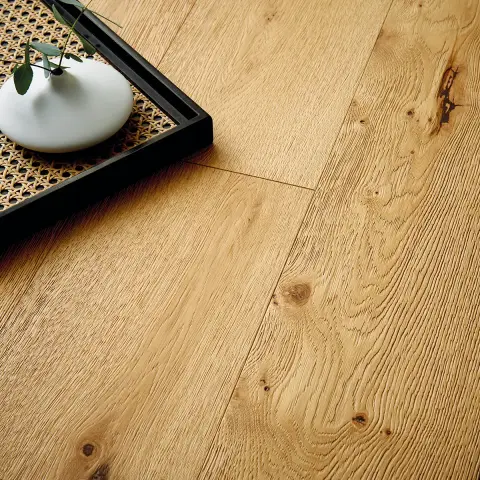 Nanzen Oak view 4