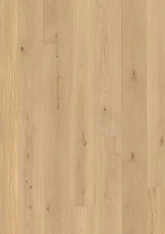 Plank Castle Oak Transparent Animoso engineered hardwood flooring
