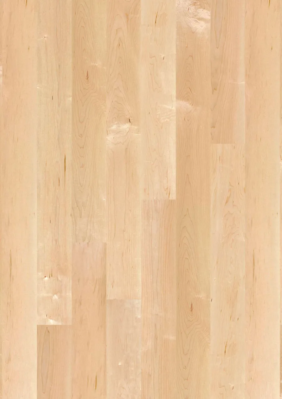 Plank 138 Maple Can. Transparent Andante engineered hardwood flooring