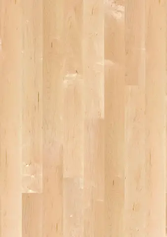 Plank 138 Maple Can. Transparent Andante engineered hardwood flooring