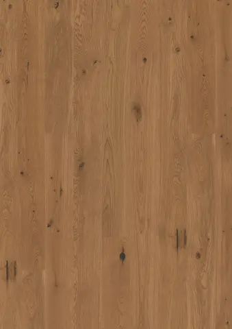 Plank 138 Oak Honey Vivo engineered hardwood flooring