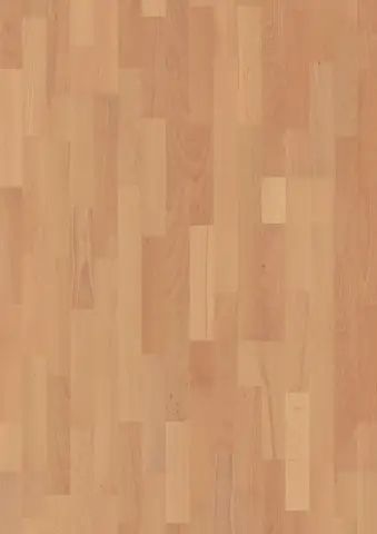 3-Strip 14 mm Beech Transparent Andante engineered hardwood flooring