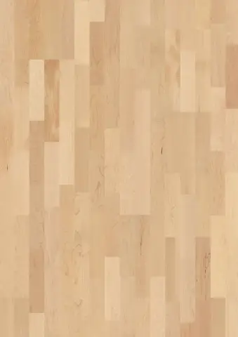 3-Strip 14 mm Maple Can. Transparent Andante engineered hardwood flooring