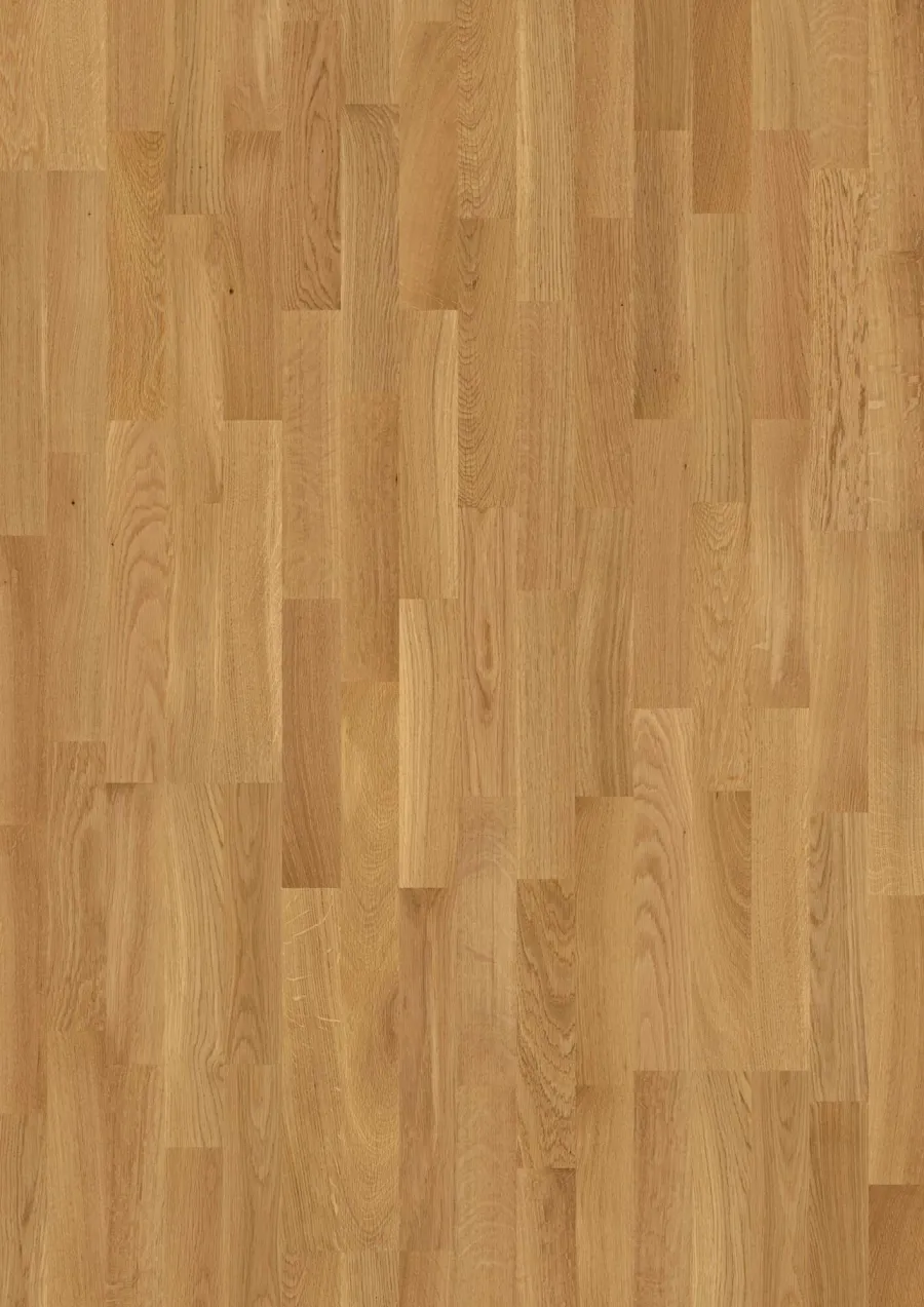 3-Strip 14 mm Oak Transparent Andante engineered hardwood flooring