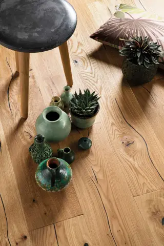 Plank Castle Oak Epoca Espressivo view 4