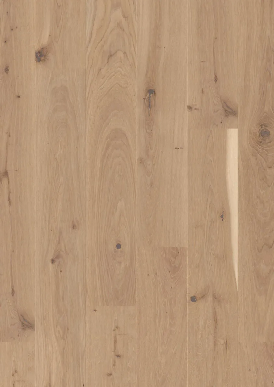 Plank Castle Oak Transparent Vivo engineered hardwood flooring
