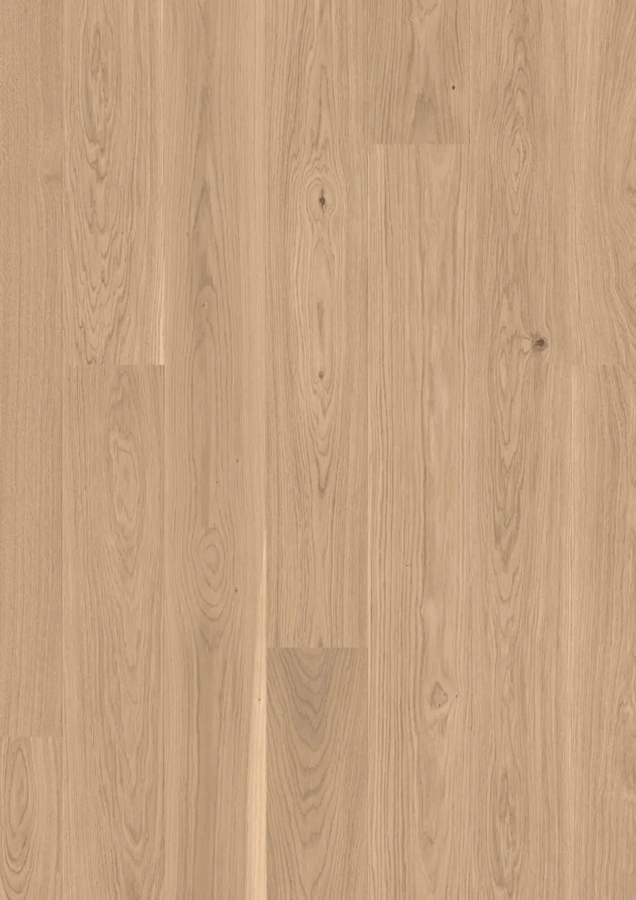 Plank 181 14 mm Oak Transparent Andante engineered hardwood flooring