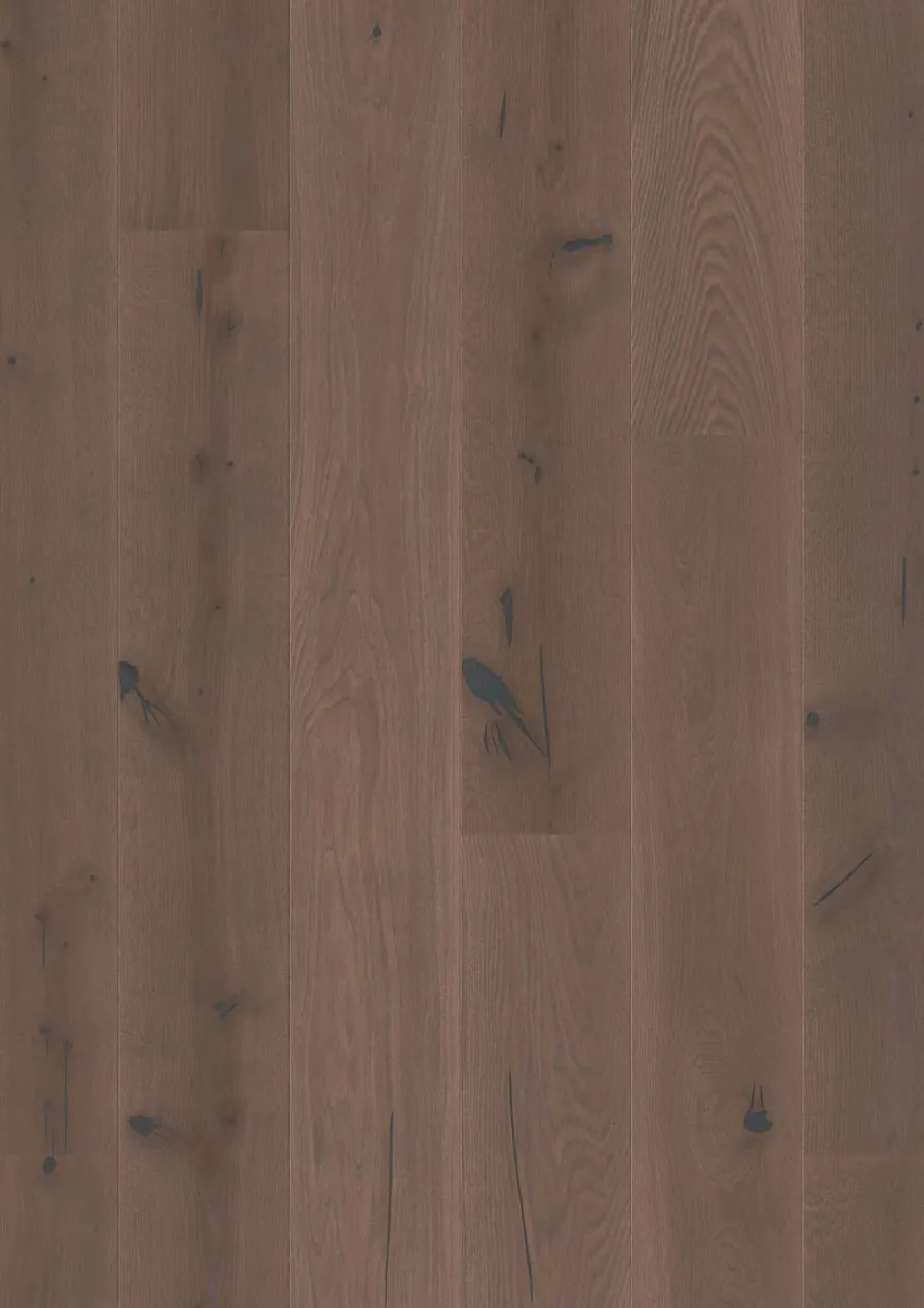 Plank Castle Oak Elephant Grey Espressivo engineered hardwood flooring