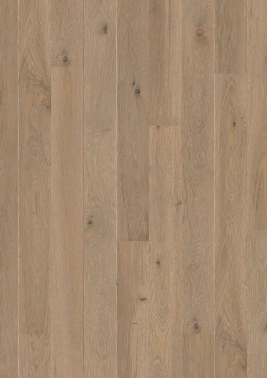 Plank 138 Oak Warm Grey Animoso engineered hardwood flooring