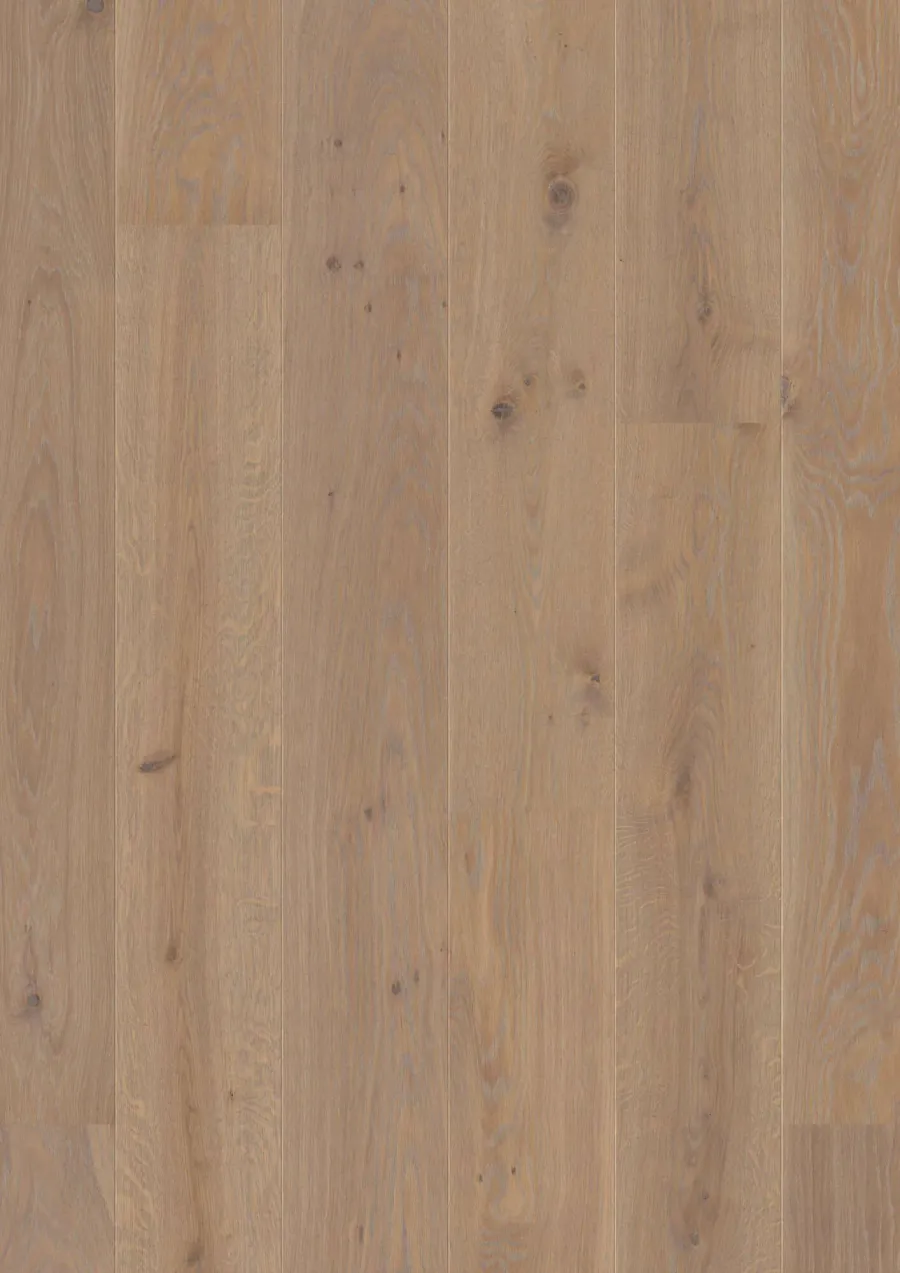 Plank Castle Oak Warm Grey Animoso engineered hardwood flooring