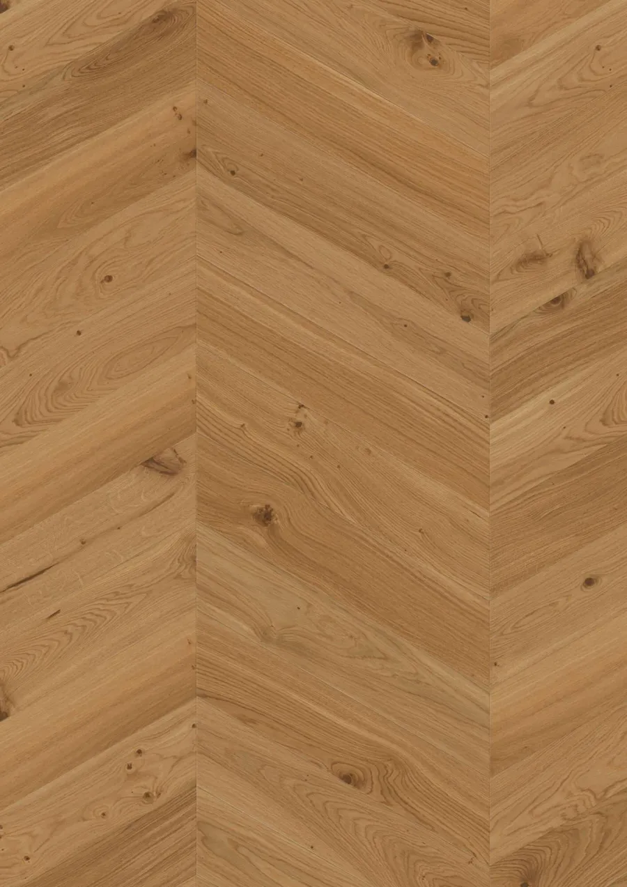 Chevron Oak Transparent Animoso engineered hardwood flooring