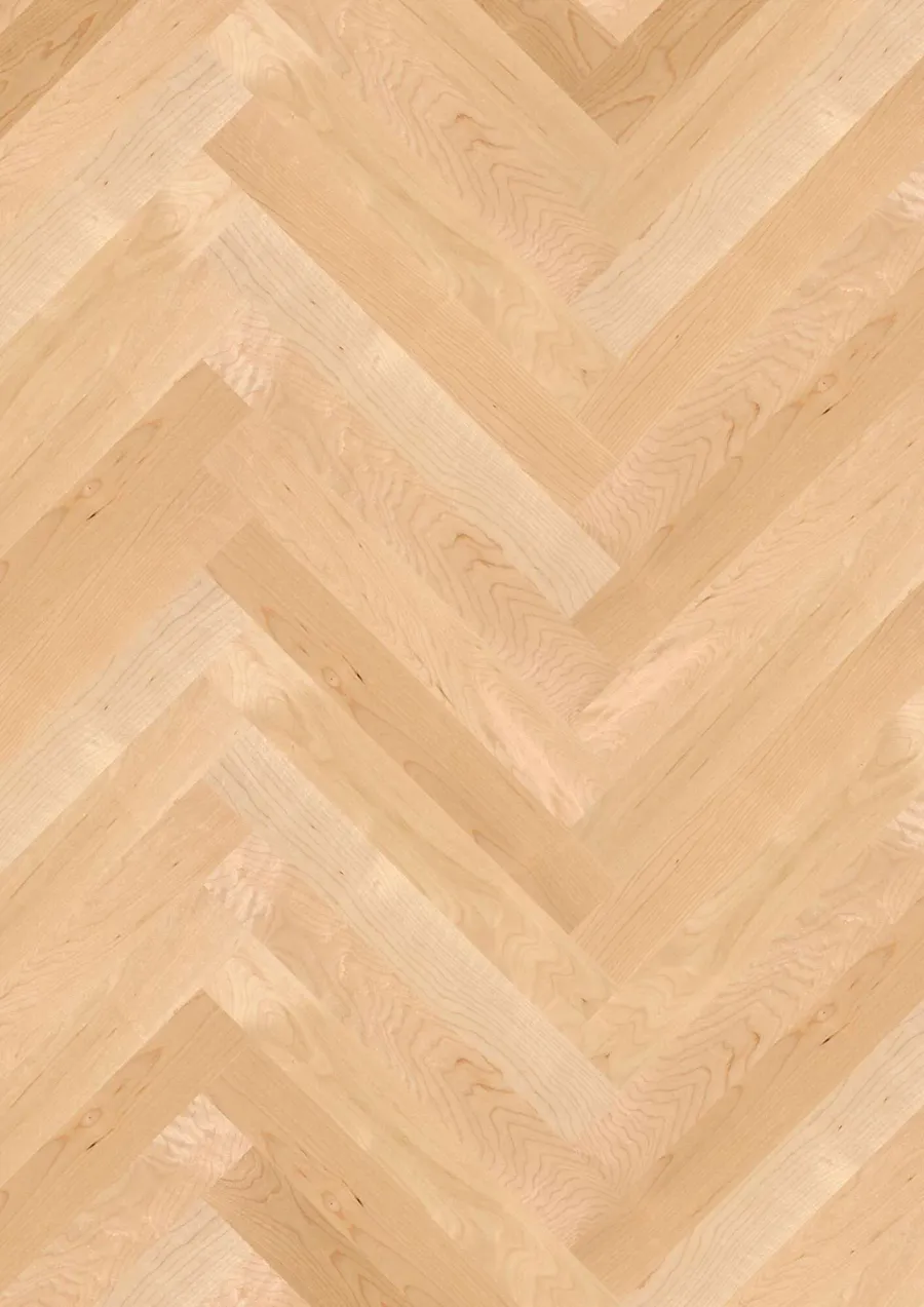 Prestige Maple Can. Transparent Nature engineered hardwood flooring