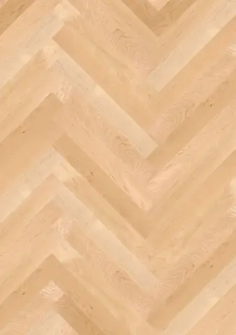 Prestige Maple Can. Transparent Nature engineered hardwood flooring