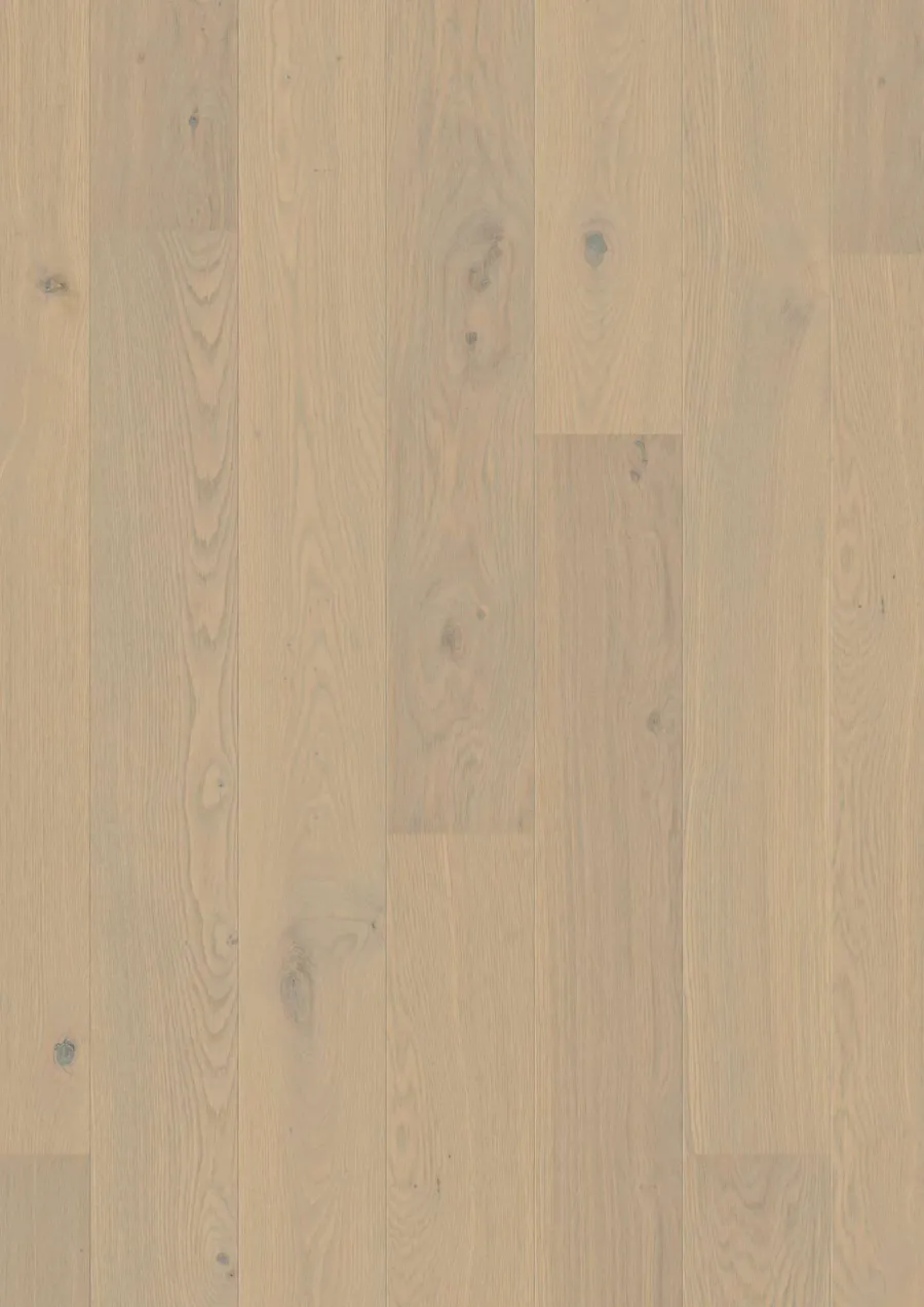 Plank 181 Oak Warm Cotton Animoso engineered hardwood flooring