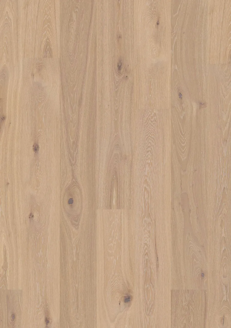 Plank 181 Oak Coral Animoso engineered hardwood flooring