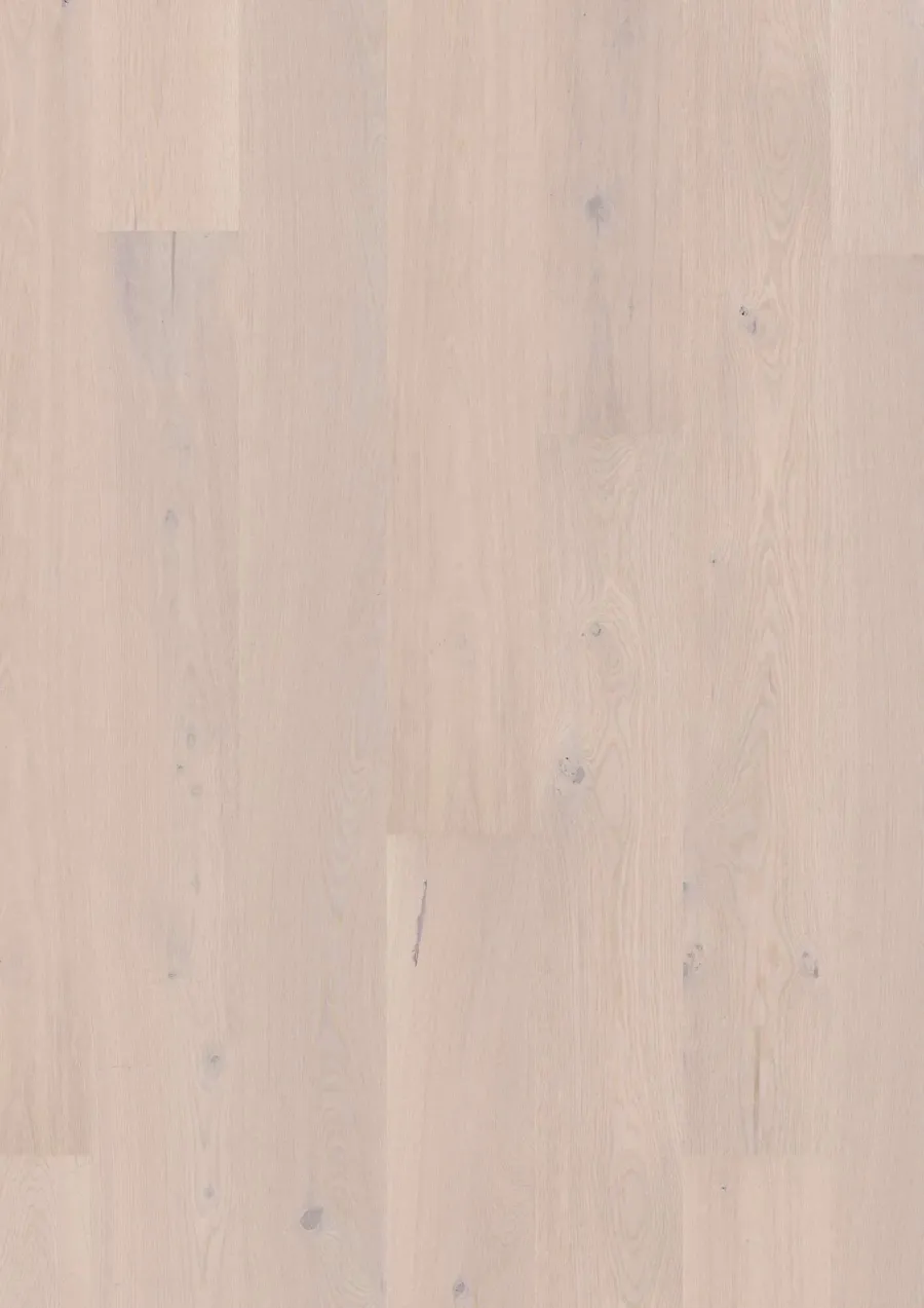 Plank 181 Oak Pearl Animoso engineered hardwood flooring
