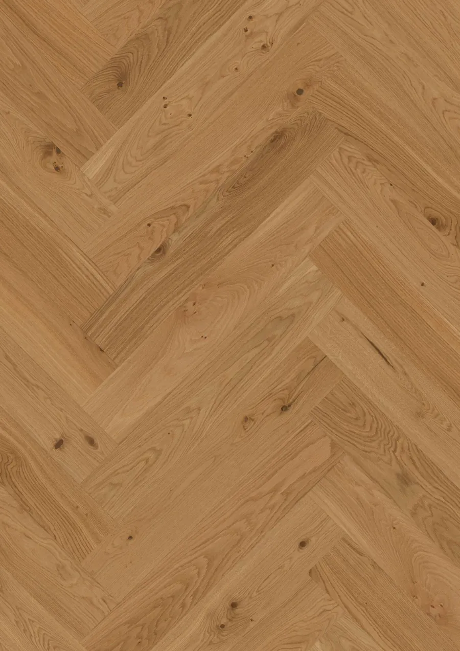 Herringbone T/g Oak Transparent Animoso engineered hardwood flooring