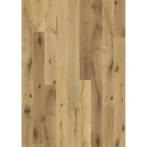 Oak Paglia engineered hardwood flooring