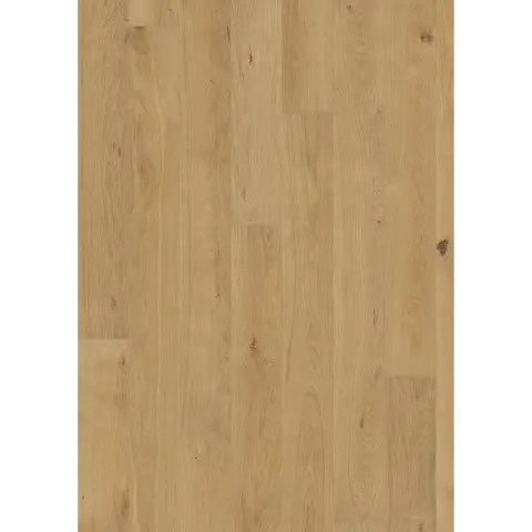 Oak Piazza Cd Matt engineered hardwood flooring