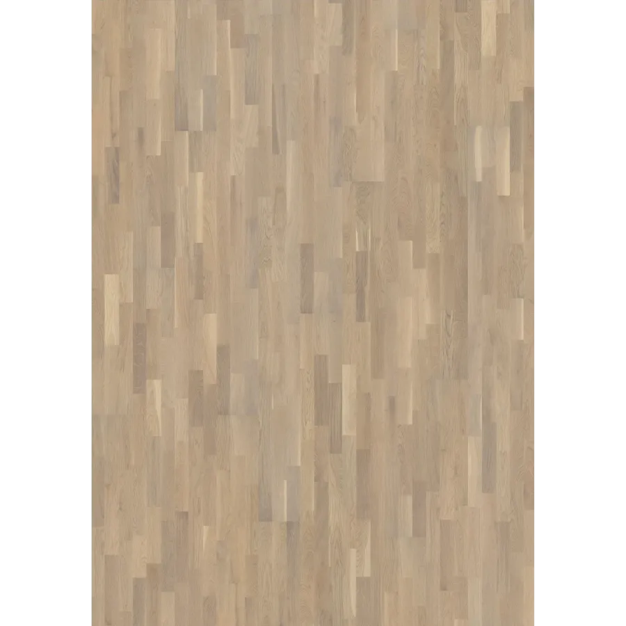 Oak Abetone Matt engineered hardwood flooring