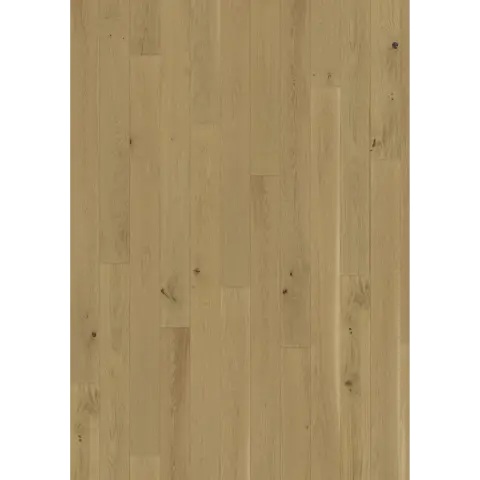 Oak Biscotti engineered hardwood flooring