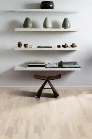 Ash Coral view 4