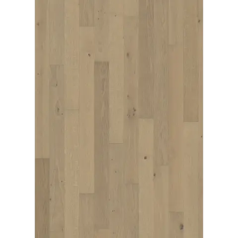 Oak Nouveau White engineered hardwood flooring