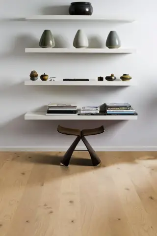 Oak Aster Matt view 4
