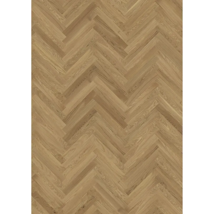 Oak Studio Cd Hb Oiled engineered hardwood flooring