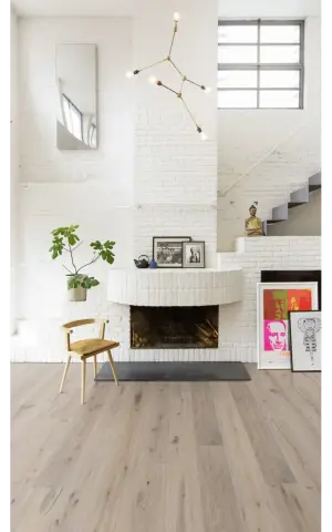 Oak Oyster view 4