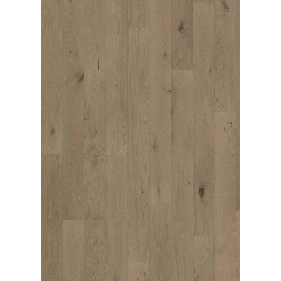 Oak Frozen Hazelnut Plank engineered hardwood flooring