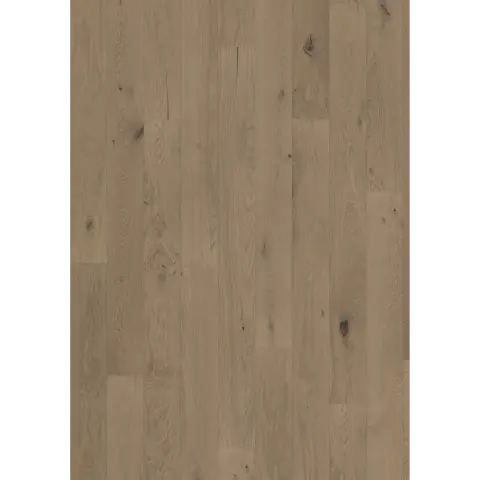 Oak Frozen Hazelnut Plank engineered hardwood flooring