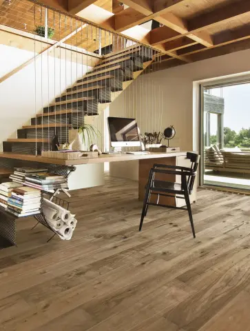 Oak Camino view 3