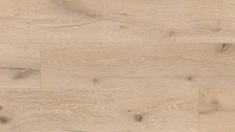 Oak Zephyr view 5