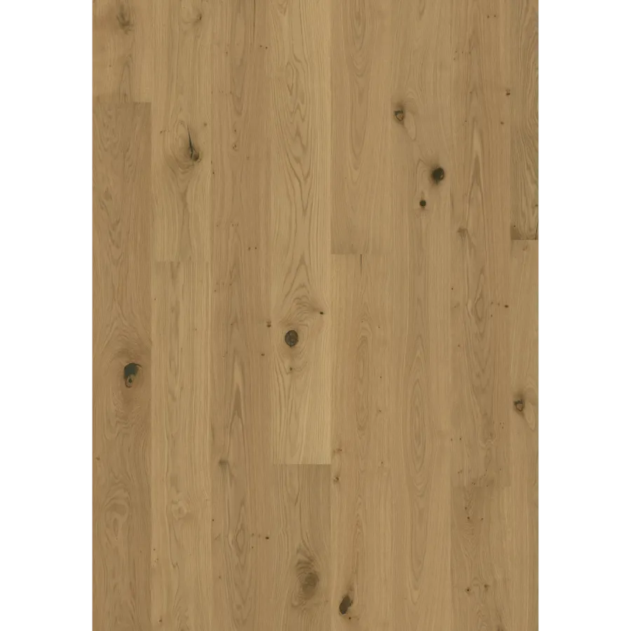 Oak Aster Oiled engineered hardwood flooring