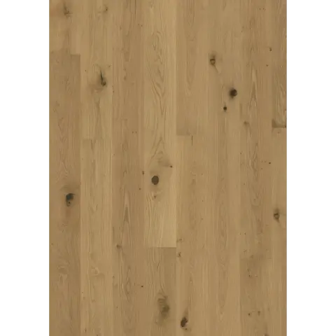 Oak Aster Oiled engineered hardwood flooring