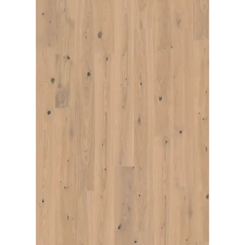 Oak Tahini Plank engineered hardwood flooring