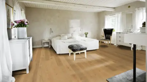 Oak Sun view 2