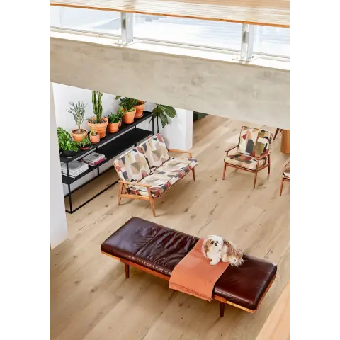 Oak Larus view 2