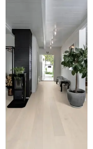 Oak Crisp view 4