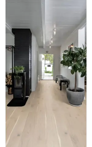 Oak Ghost view 4