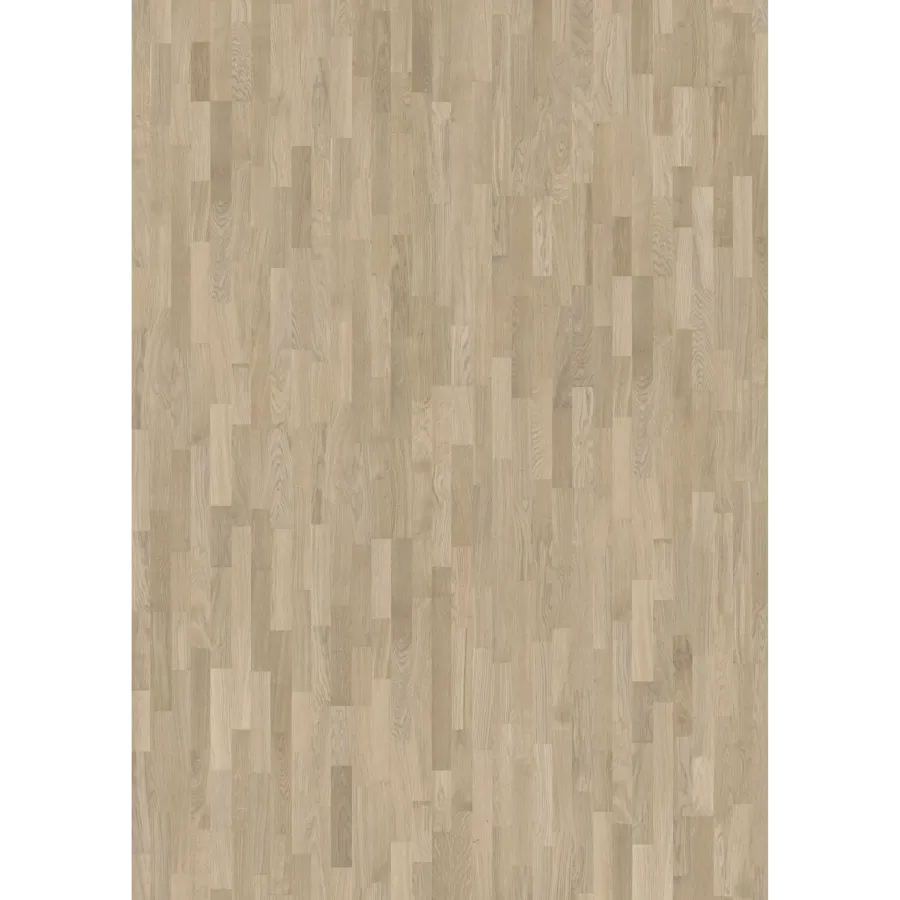 Oak engineered hardwood flooring in an Edinburgh home