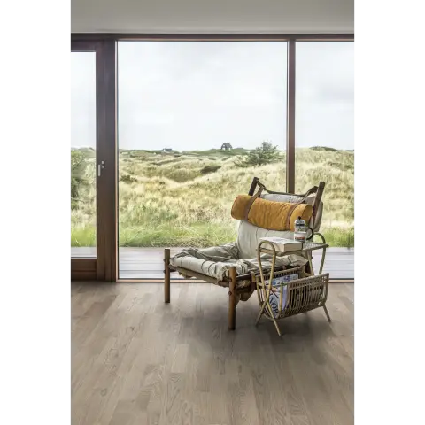 Oak Eclipse view 2