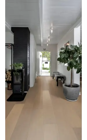 Oak Berlin view 5