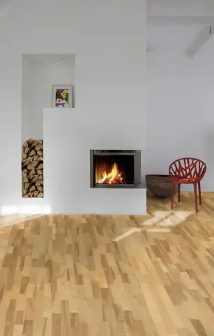 Ash Vaila view 4
