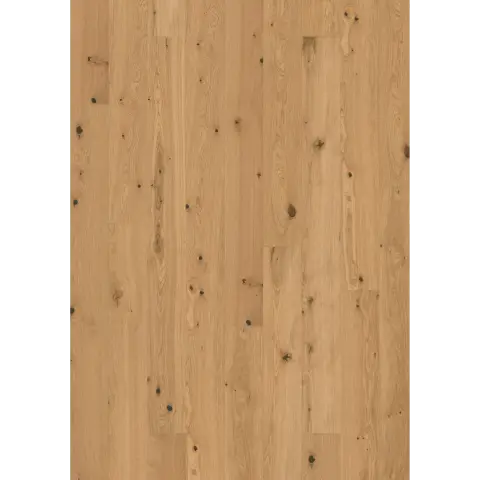 Oak Cardamom Plank engineered hardwood flooring