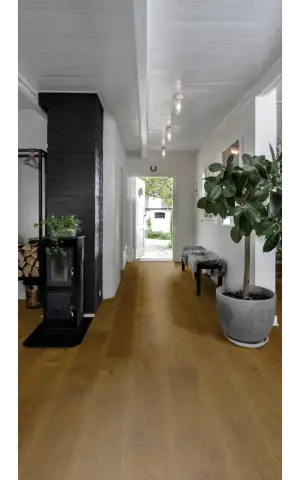 Oak Nouveau Rich view 4