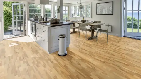 Ash Vaila view 3