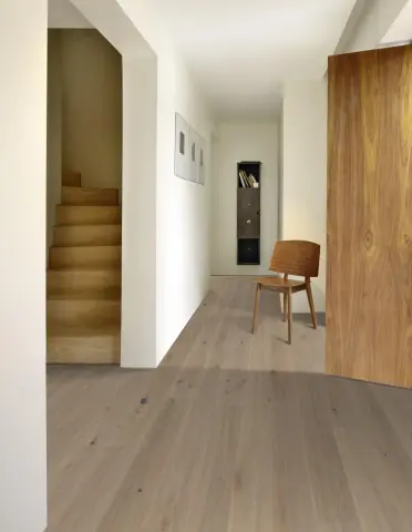 Oak MöRe view 4