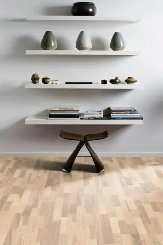Ash Skagen view 5